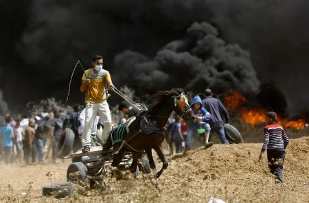 A Palestinian drives a horse-drawn cart during clashes with Israeli security forces near the eastern border of the Gaza Strip, on April 27, 2018. (AFP)