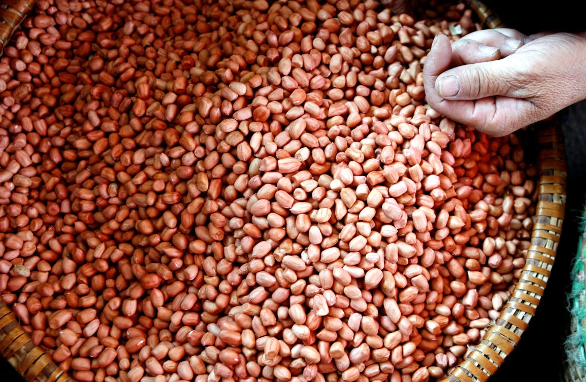 Scientists devise new, more accurate peanut allergy test