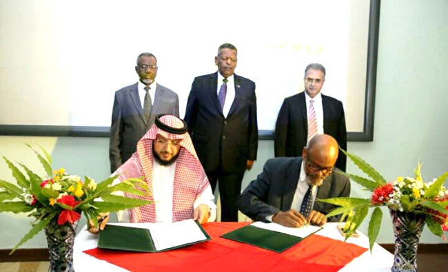 The project is financed by the Saudi Fund for Development.