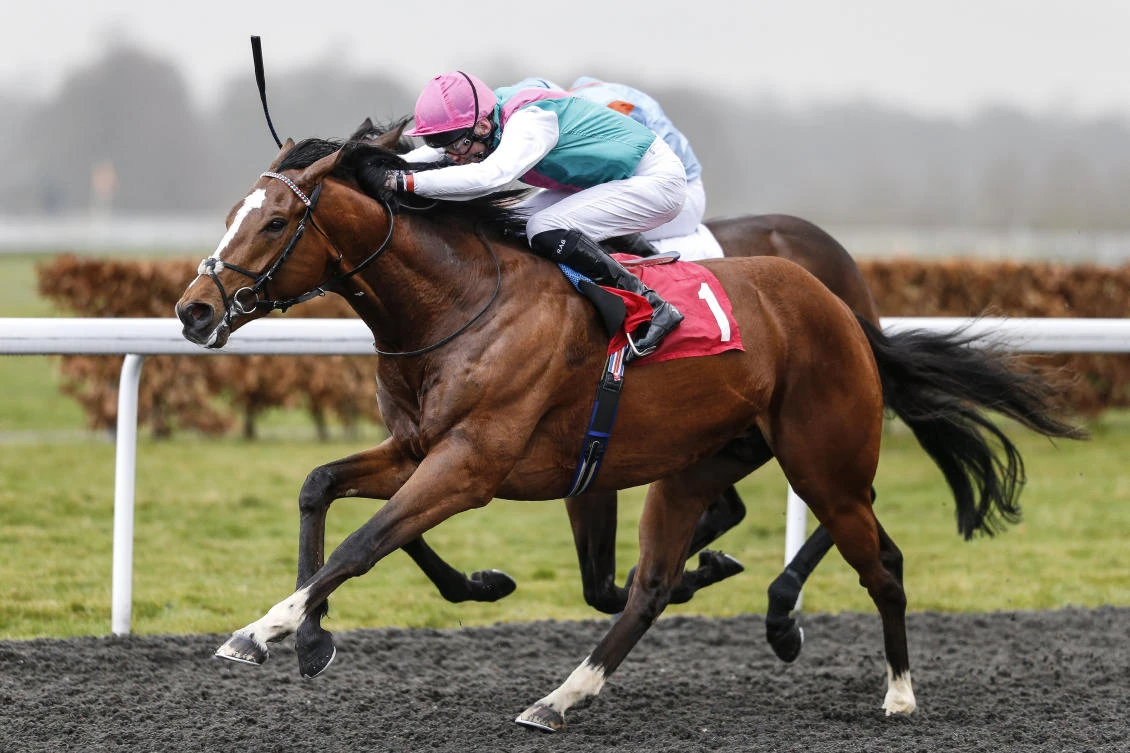 Crossed Batton will skip the Derby and head straight for Royal Ascot next month.