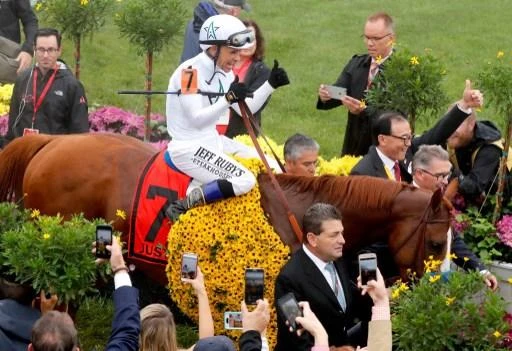 Mike Smith celebrates riding Justify to victory in the Preakness Stakes. (AFP)
