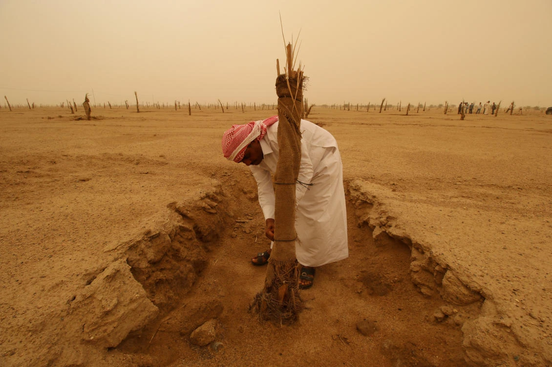 On former battlefield, Kuwaiti investor plans date palm groves, ostrich and deer reserve