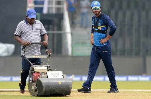Sri Lanka's captain Dinesh Chandimal inspects the pitch during a practice session at the R.Premadasa Stadium in Colombo in March. (AFP)
