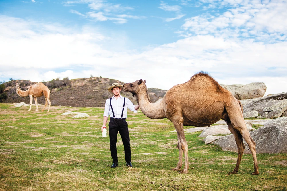 How a Saudi dairy farmer brought camel milk to the US