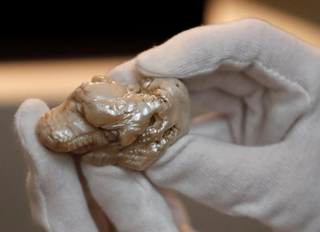 World’s largest freshwater pearl goes for 320,000 euros