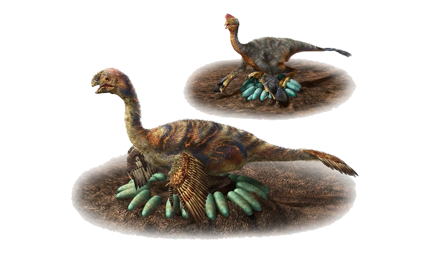 How does a one-ton dino hatch its eggs? Carefully