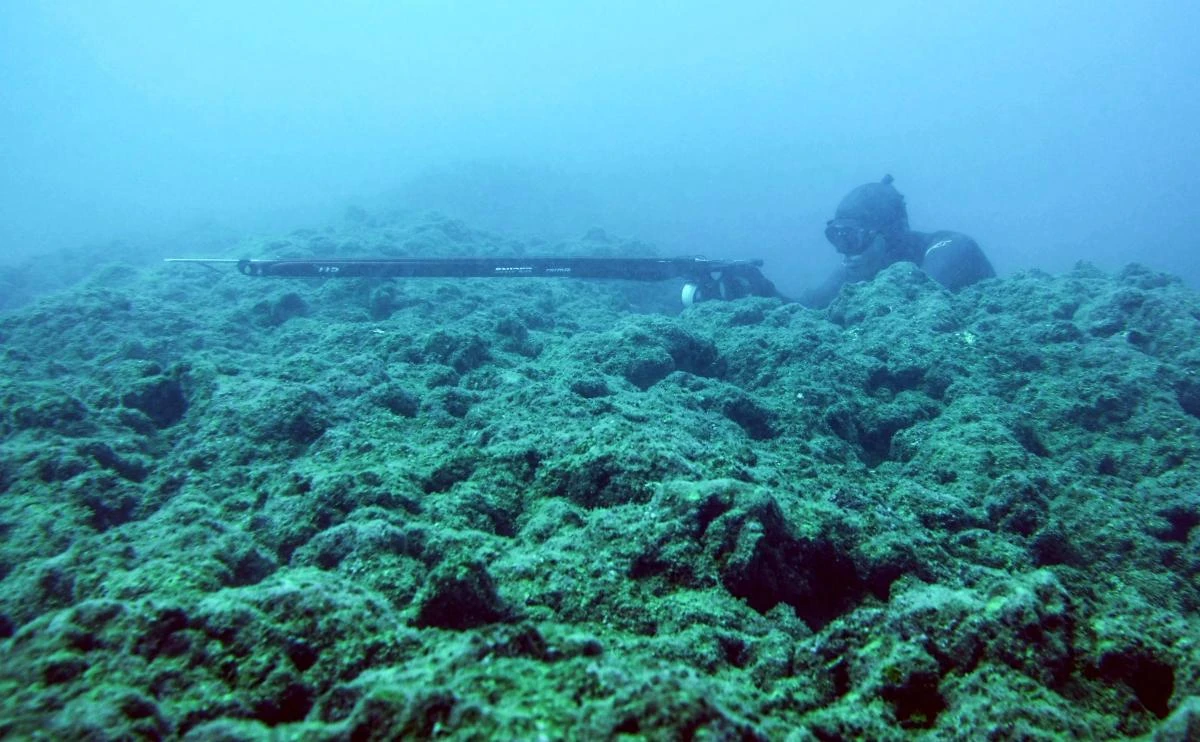 Lebanon’s spearfishers fight to preserve stocks