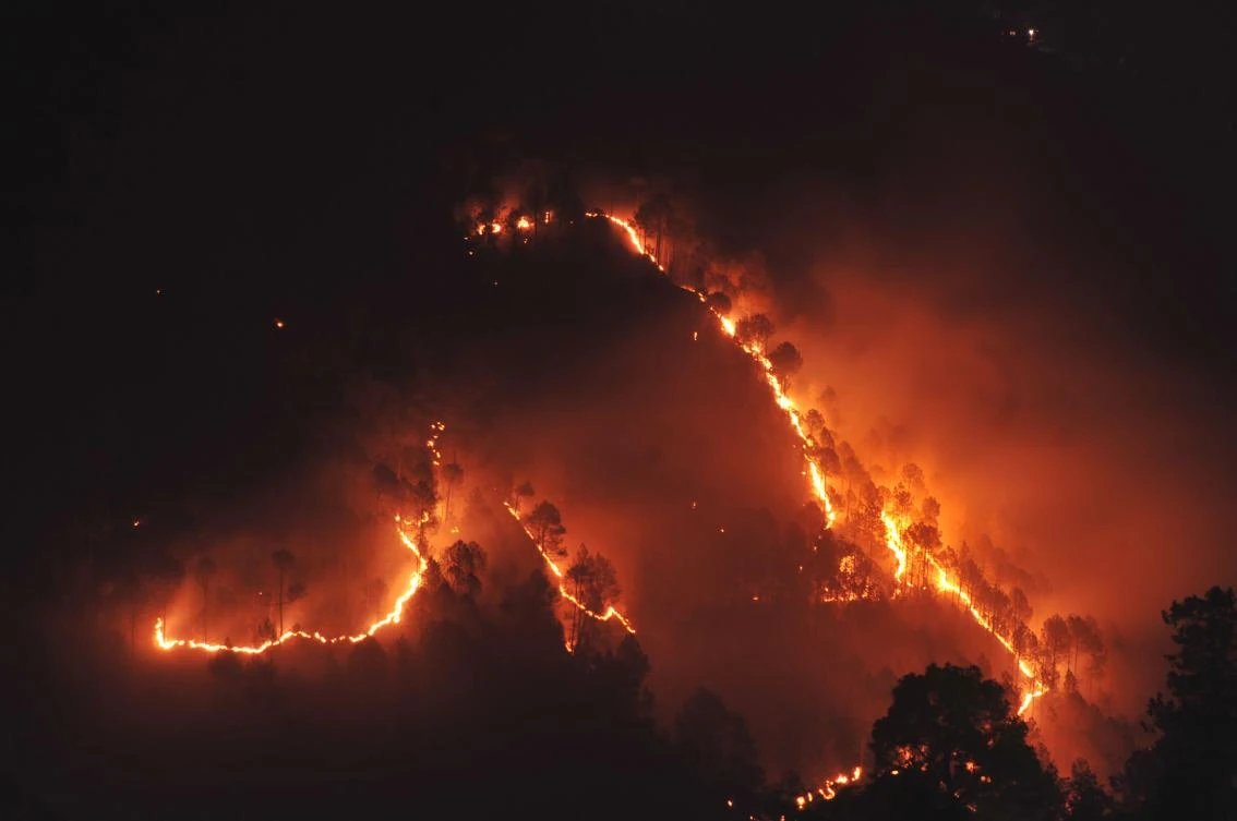 Forest fires rage as India resort town grapples with water crisis