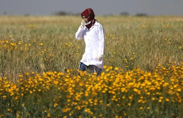 Palestinian nurse Razan Al-Najar was killed by Israeli forces at the Gaza border. (Reuters)