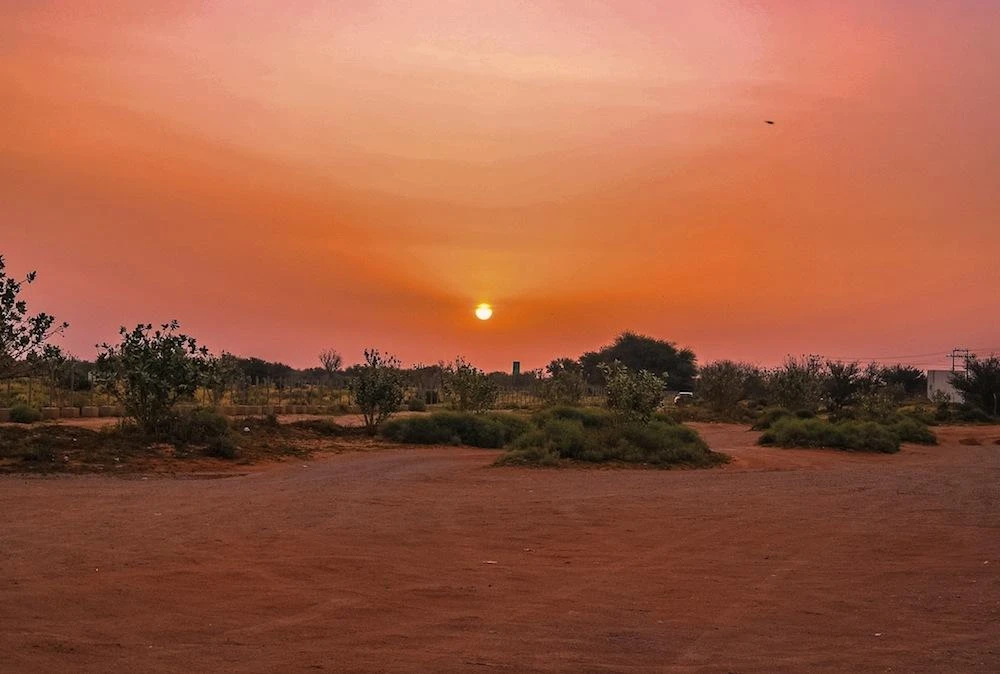 Saudi Arabia seeks ecotourism boost by protecting environment, wildlife