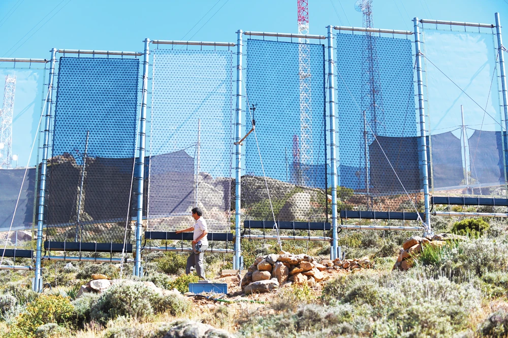 Fog fences in a hamlet on the outskirts of the southern coastal city of Sidi Ifni in Morocco. Fog collection projects have already been installed in Oman, and have been recommended as a means of saving water in Saudi Arabia. (AFP)