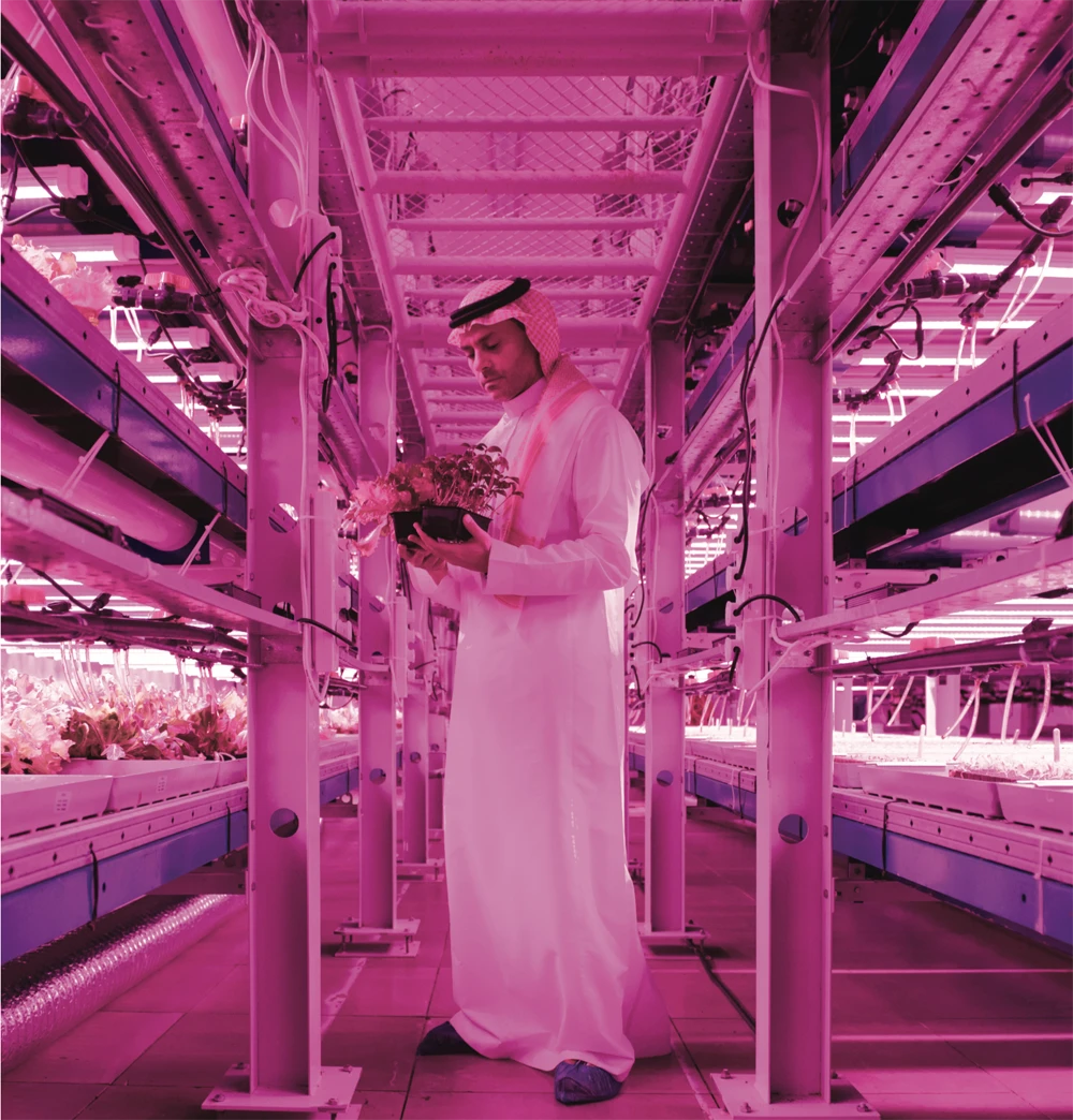 How does his garden grow? Sustainably, in the desert