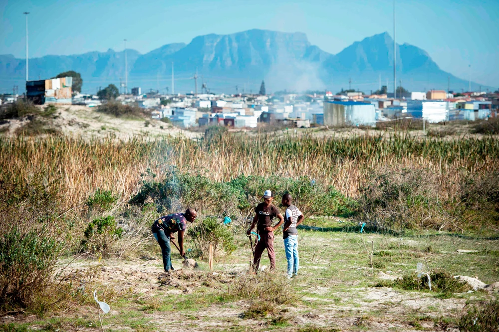 A group of men prepare a recently pegged-out plot in an open piece of land next to the makeshift illegally established and informal settlement in Khayelitsha, about 35km from the center of Cape Town, on May 17, 2018. (AFP / RODGER BOSCH)