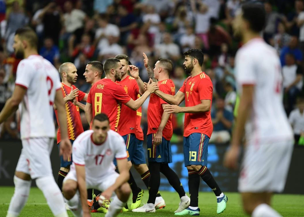 Tunisia were crestfallen after Iago Aspas scored a late winner in Krasnodar. (AFP)