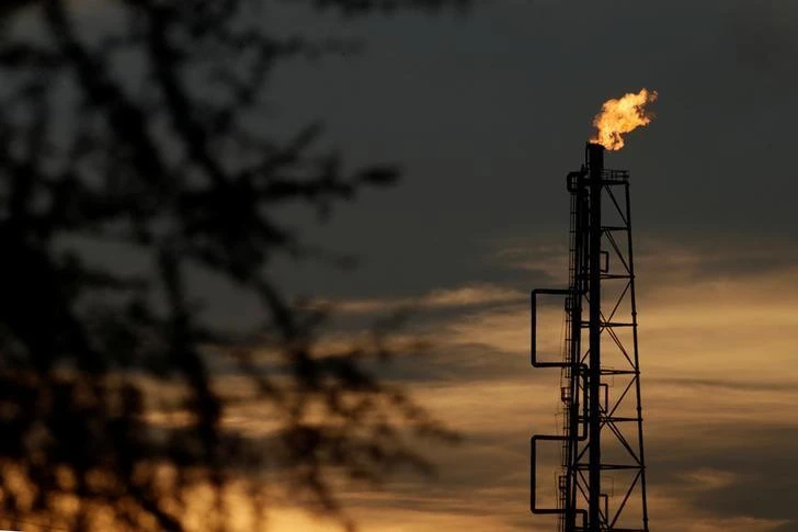 OPEC, together with some non-OPEC producers including Russia started withholding output in 2017 to end a global supply overhang and prop up prices. (Reuters)