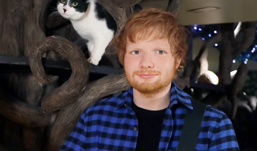 Ed Sheeran