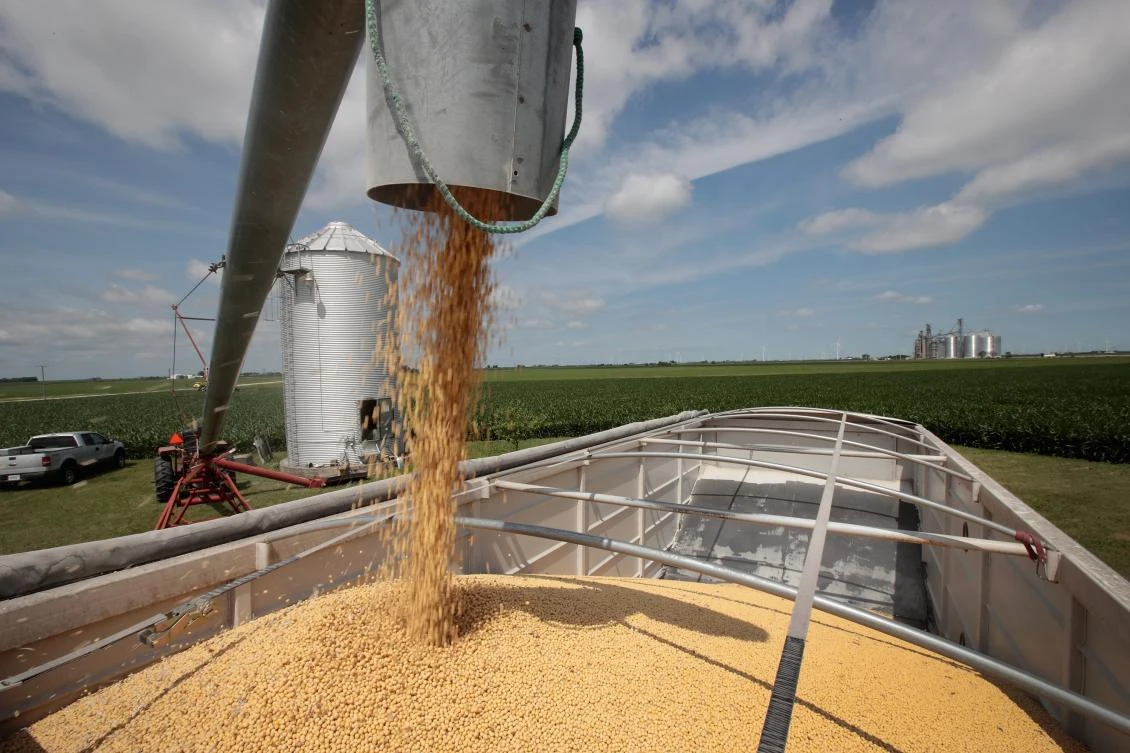 Farmer John Duffy loads soybeans from his grain bin onto a truck before taking them to a grain elevator on June 13, 2018 in Dwight, Illinois. US soybean futures have plunged with renewed fears that China could hit US soybeans with retaliatory tariffs as Trump administration follows through with threatened tariffs on Chinese goods. (Scott Olson/Getty Images/AFP)