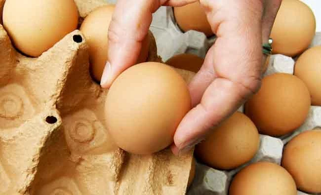More than 4 million eggs recalled in Poland