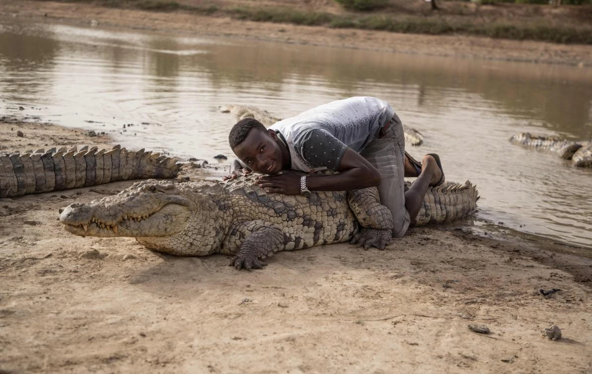 People in Bazoule, around 30 kilometers from the capital Ouagadougou, share their pond with more than 100 of the razor-toothed creatures. (AFP)