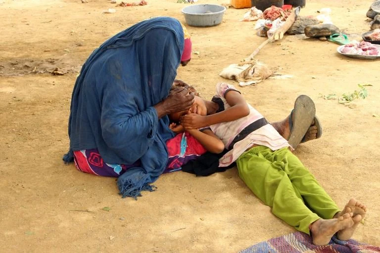Houthi land mines threaten Yemeni lives every day: Reports