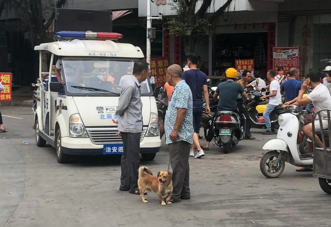 China dog meat fest opens as South Korea goes the other way