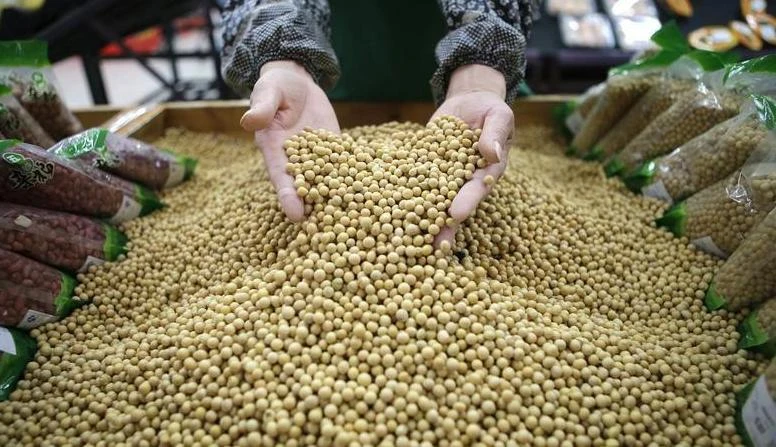 Soybeans are China’s biggest agricultural import from the United States by value. (Reuters)