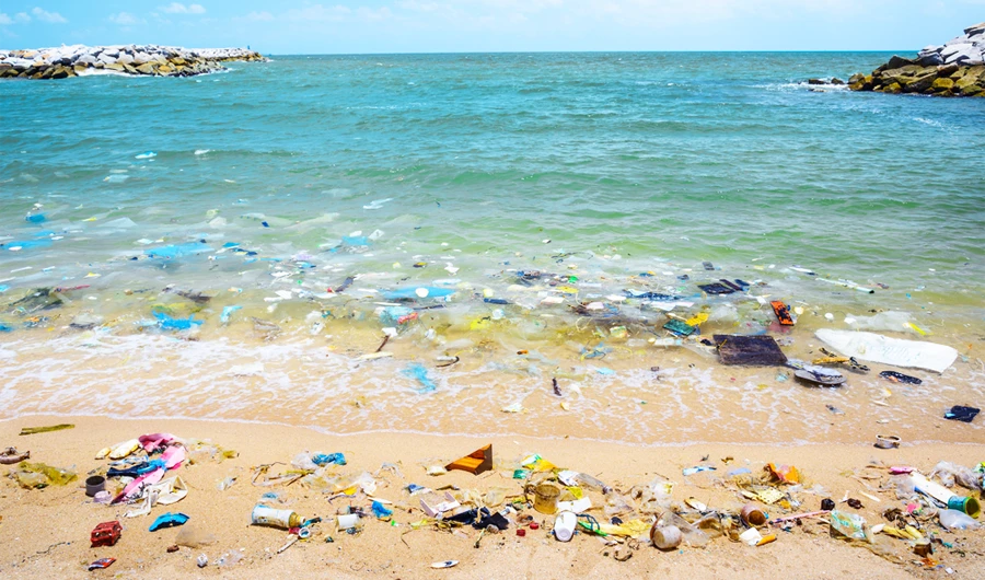 Cheap, convenient and deadly, disposable packaging is killing the world’s oceans. Can a Middle East strategy save our seas?