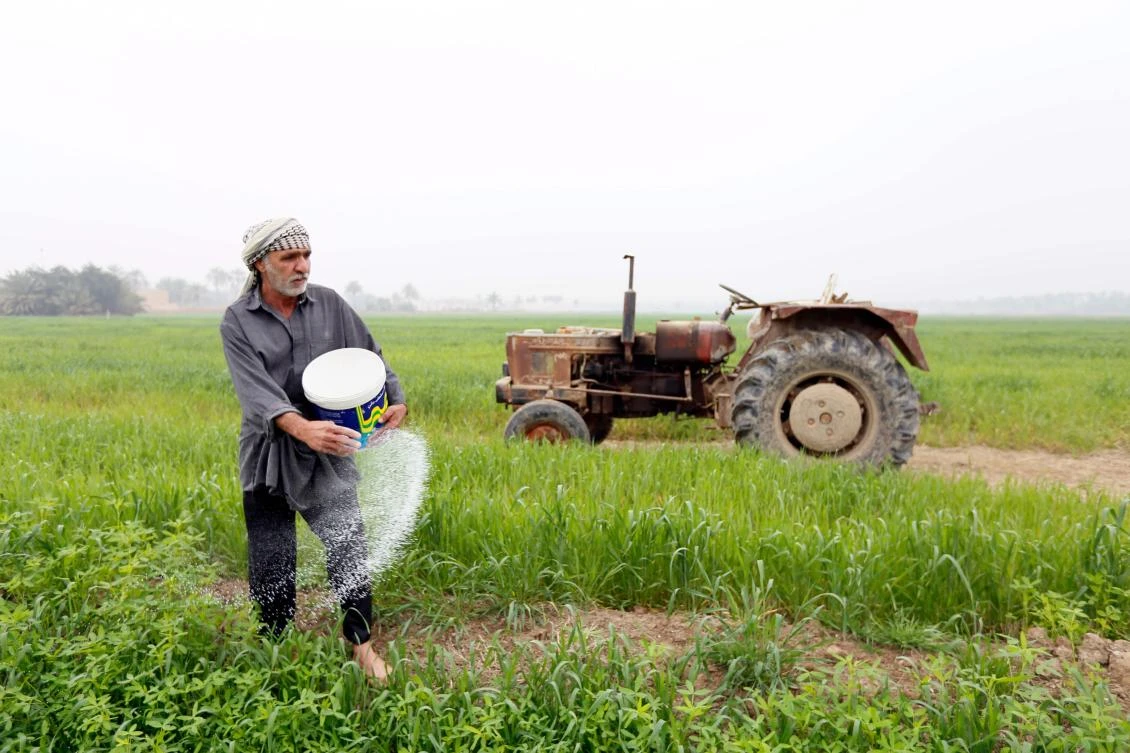 An Iraqi farmer plants Jasmin rice in the Mishkhab region, central Iraq, some twenty-five kilometers from Najaf, on June 6, 2018. (AFP)