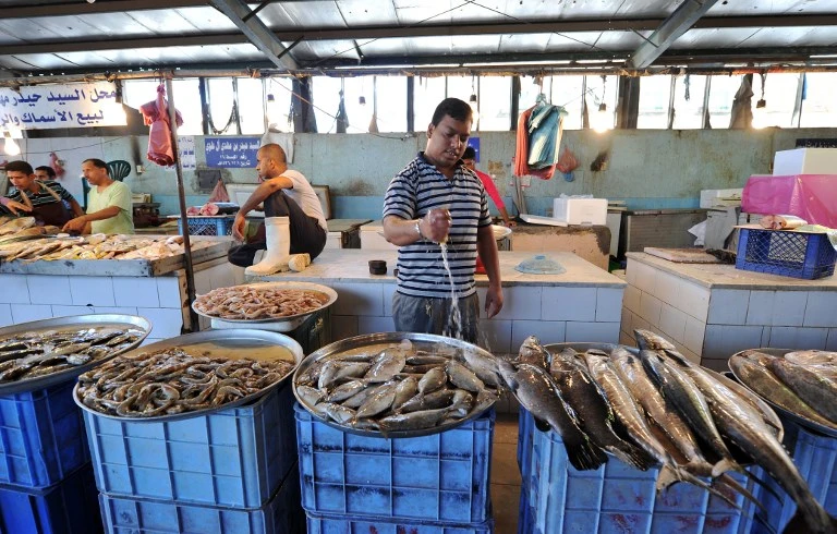 Environment ministry launches fishing training program for young Saudis