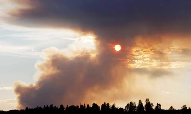 Fire burns in Karbole, Sweden, on July 15, 2018. (AFP)