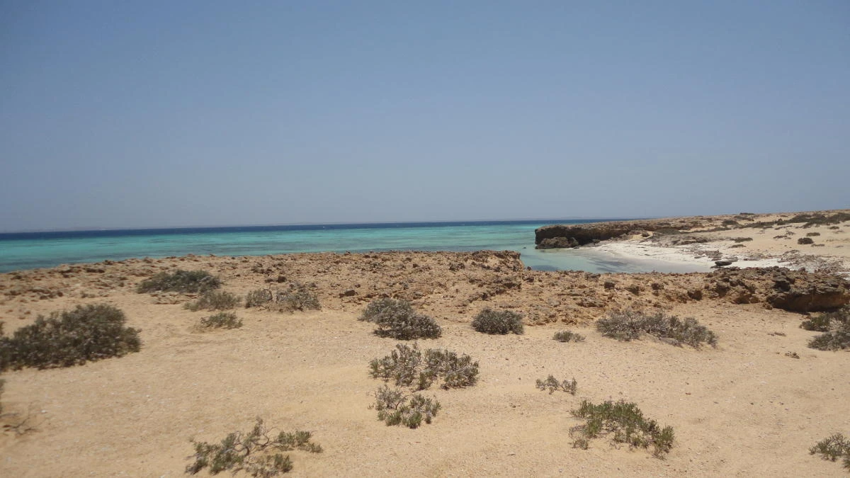 Farasan Islands, Saudi Arabia. (Photo credit: Creative Commons)