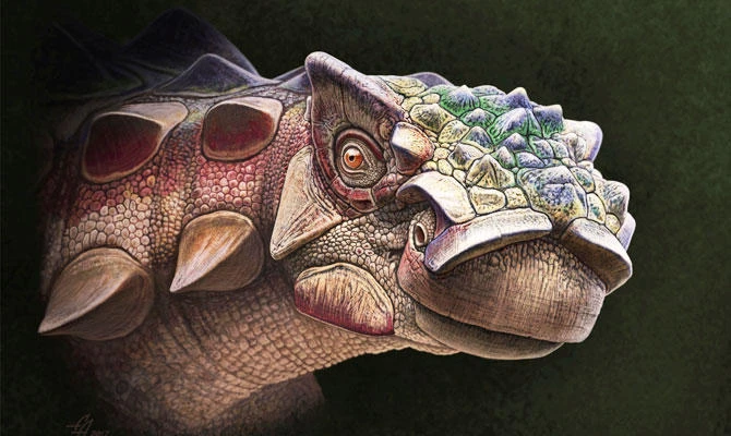 Armored dinosaur with spiky head unveiled at Utah museum