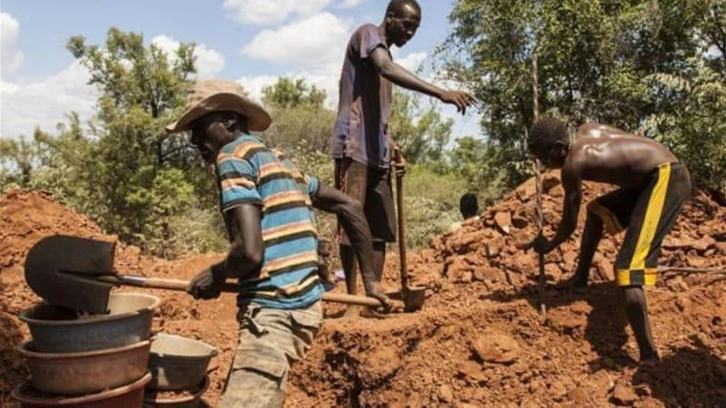Artisanal miners from Guinean villages often invade company pits when their own workings get flooded in the rainy season. (Reuters)