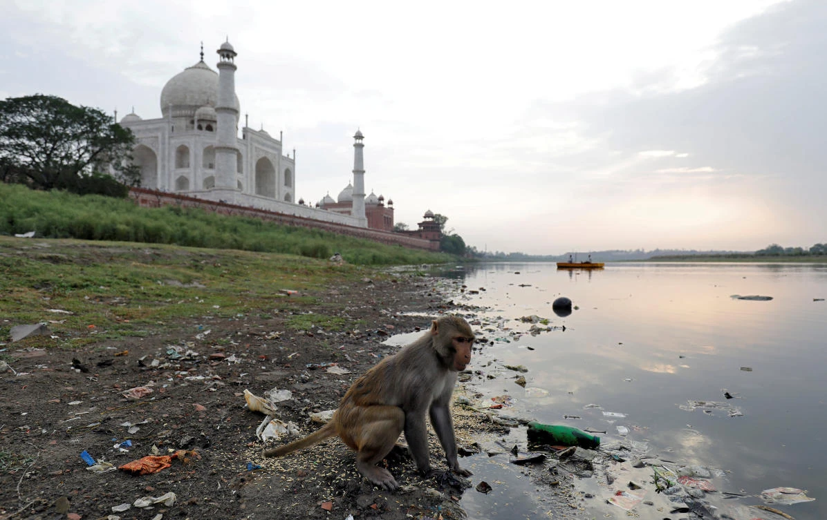 The white marble was built by the Mughal emperor Shah Jahan for his wife Mumtaz Mahal. (Reuters)