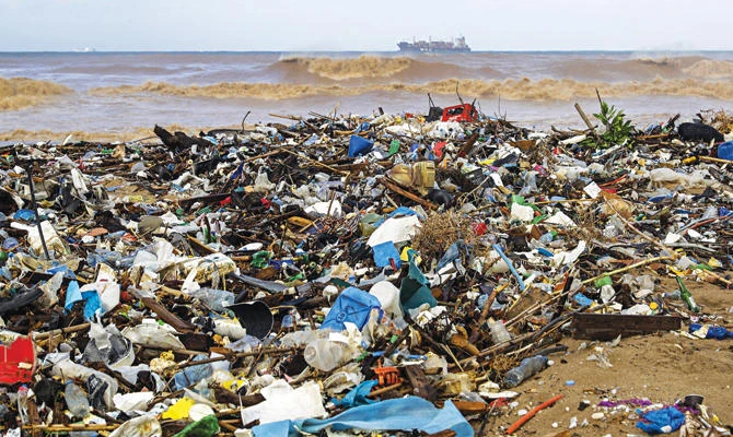 Lebanon’s shoreline: where garbage rules and endangered turtles are struggling to lay their eggs