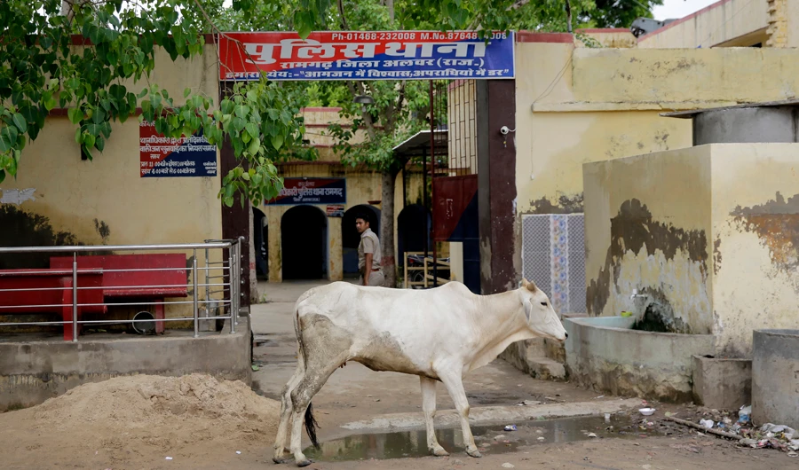 Outrage grows over attacks on Muslim cattle traders