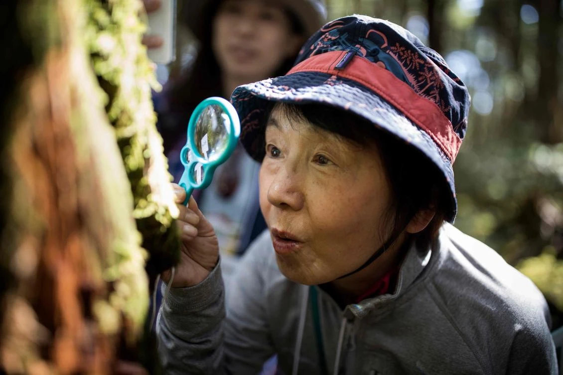 A Japanese woman looks at moss through a magnifying glass during a moss viewing tour at Kita-Yatsugatake forest near Sakuho town, Nagano prefecture. (AFP)