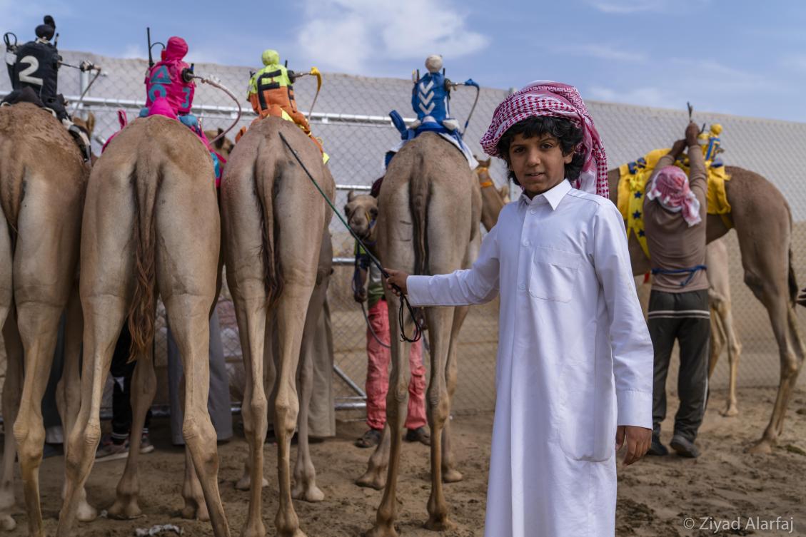 Taif Camel Festival