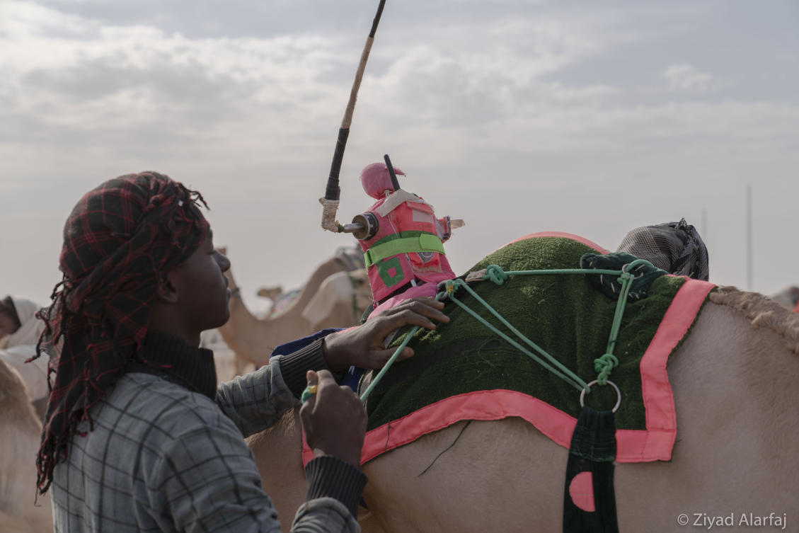 Taif Camel Festival
