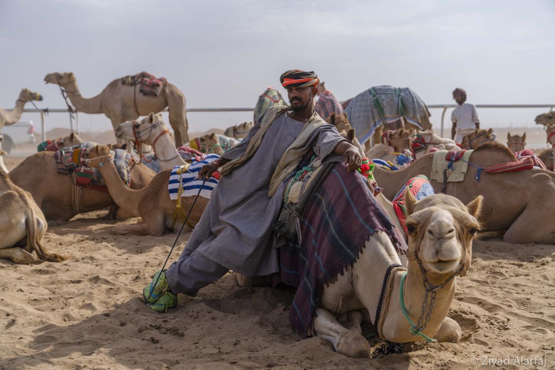 Taif Camel Festival