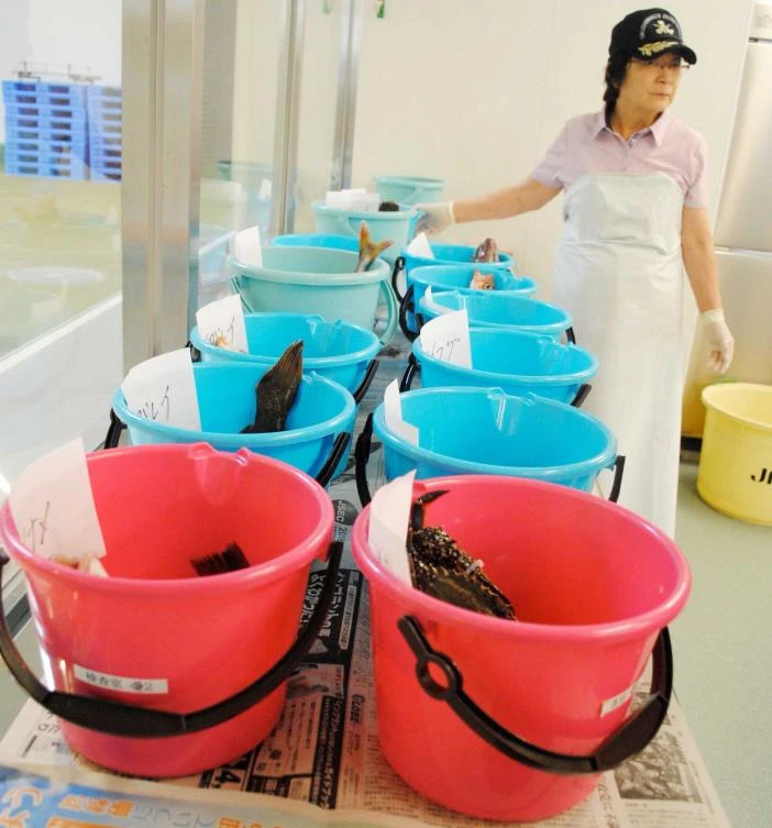 Made in Fukushima: Japan farmers struggle to win trust