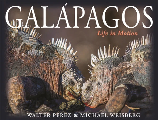 What We Are Reading Today: Galápagos: Life in Motion