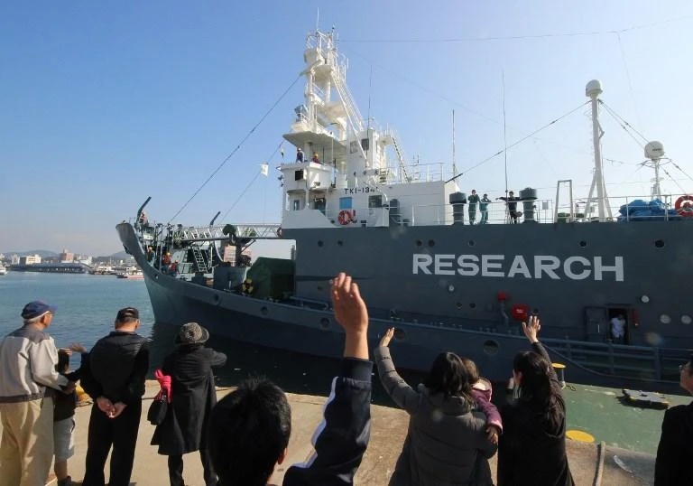 Australia to ‘vehemently’ oppose Japan push to ease whaling ban