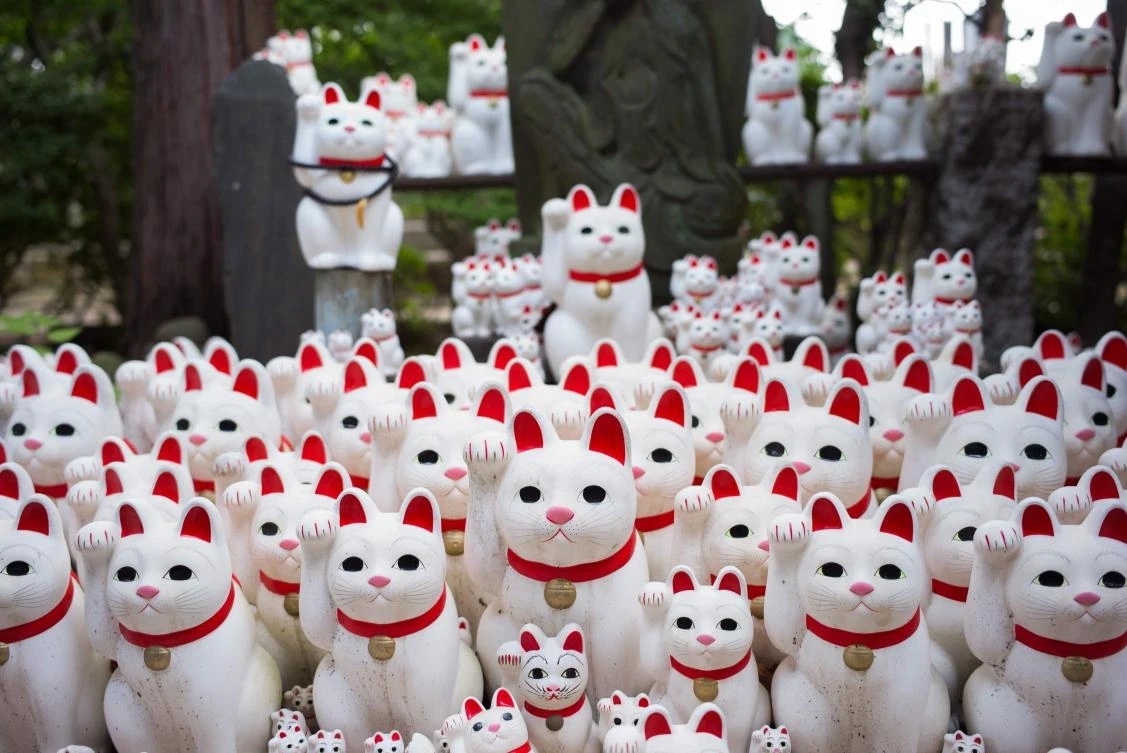 Tokyo’s Gotokuji temple has long attracted visitors with its thousands of figurines of beckoning white cats, thought to bring good luck. (AFP)