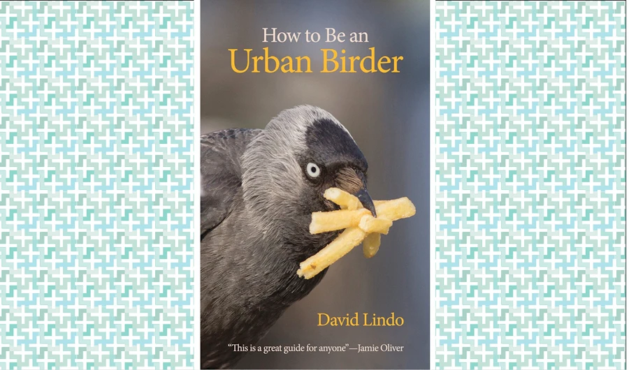 What We Are Reading Today: How to Be an Urban Birder, by David Lindo