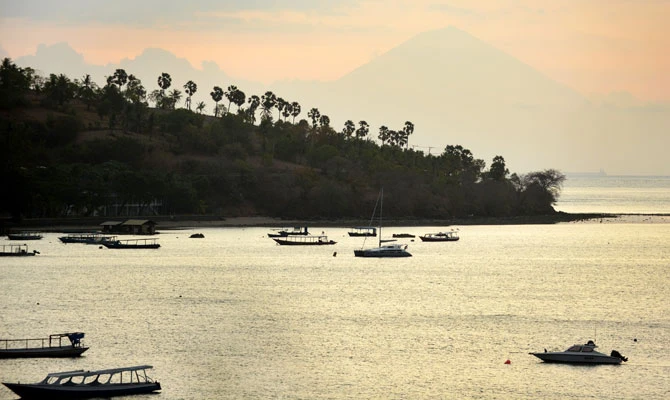 Indonesian island lifted 10 inches by deadly quake