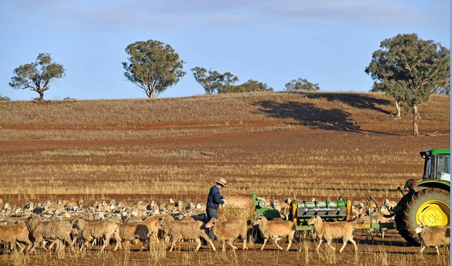 No relief in sight as Australian drought fuels bushfires