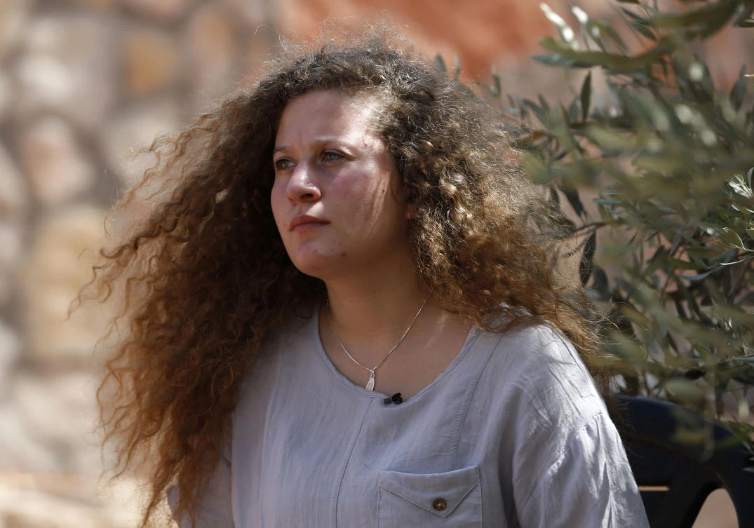 Brother of Palestinian teen Tamimi sentenced for stone-throwing
