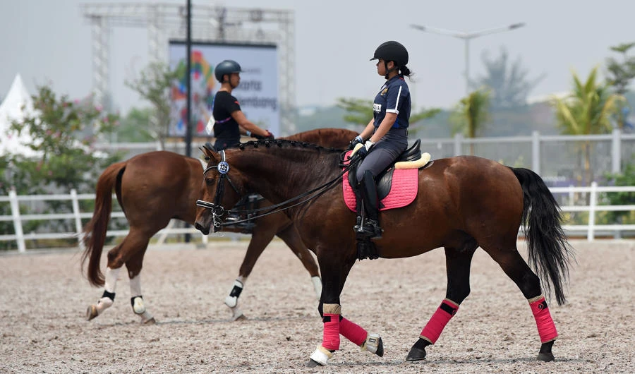 Riders train ahead of the dressage individual intermediate 1 final in the equestrian event at the 2018 Asian Games in Jakarta on August 22, 2018. (AFP / Arief Bagus)