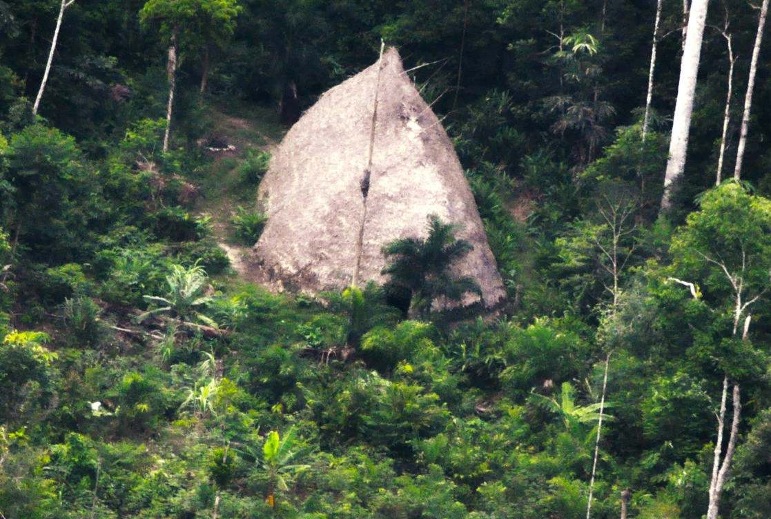 A photo from Brazil’s National Indian Foundation shows a maloca, or long house, in Vale do Javari, Amazonas state. (FUNAI via AP)